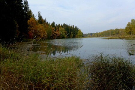 Осень в Абрамцево
