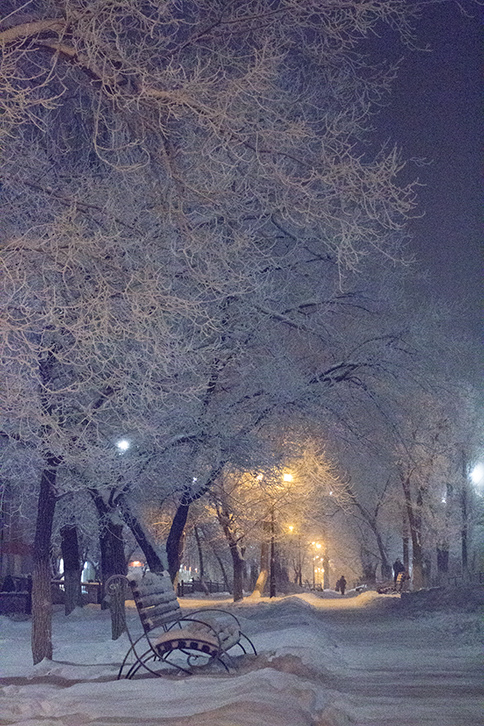 «Зимняя аллея» раздел «Городской пейзаж». «»