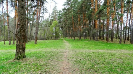 Природа Смоленщины 