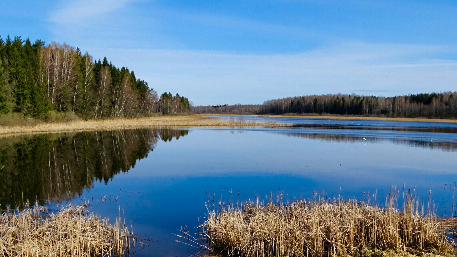 Природа Смоленщины 