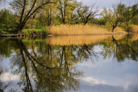 На реке Калитве