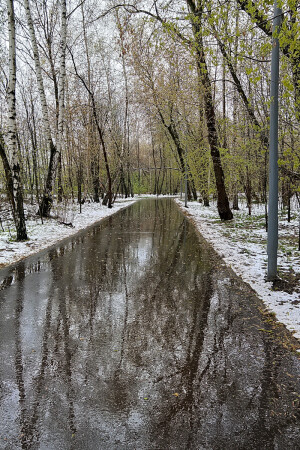 Дорога