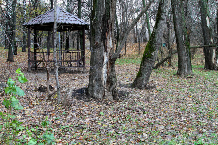Беседка
