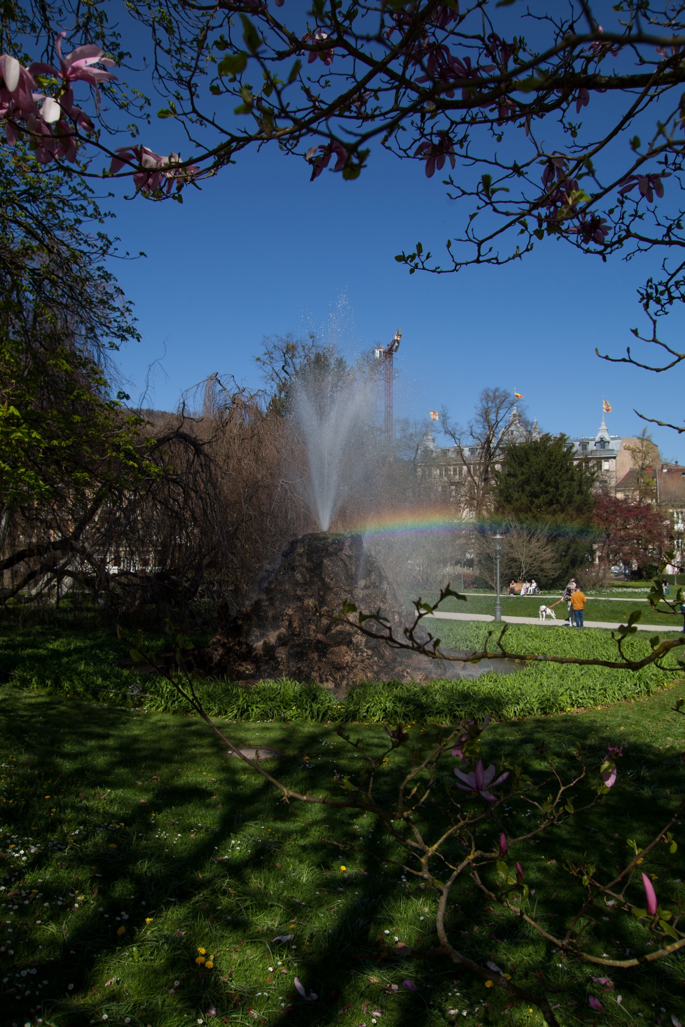«Regenbogen» раздел «». «»