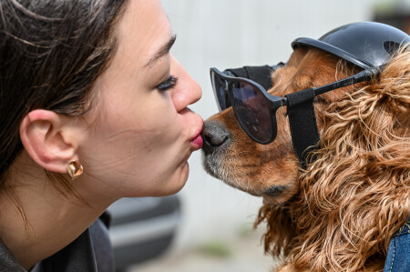 macho dog