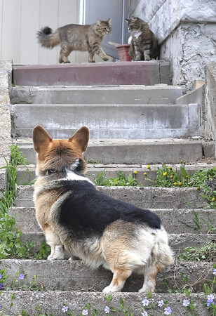 а че это Вы тут делаете?)