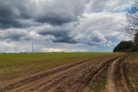 Поле зеленеет