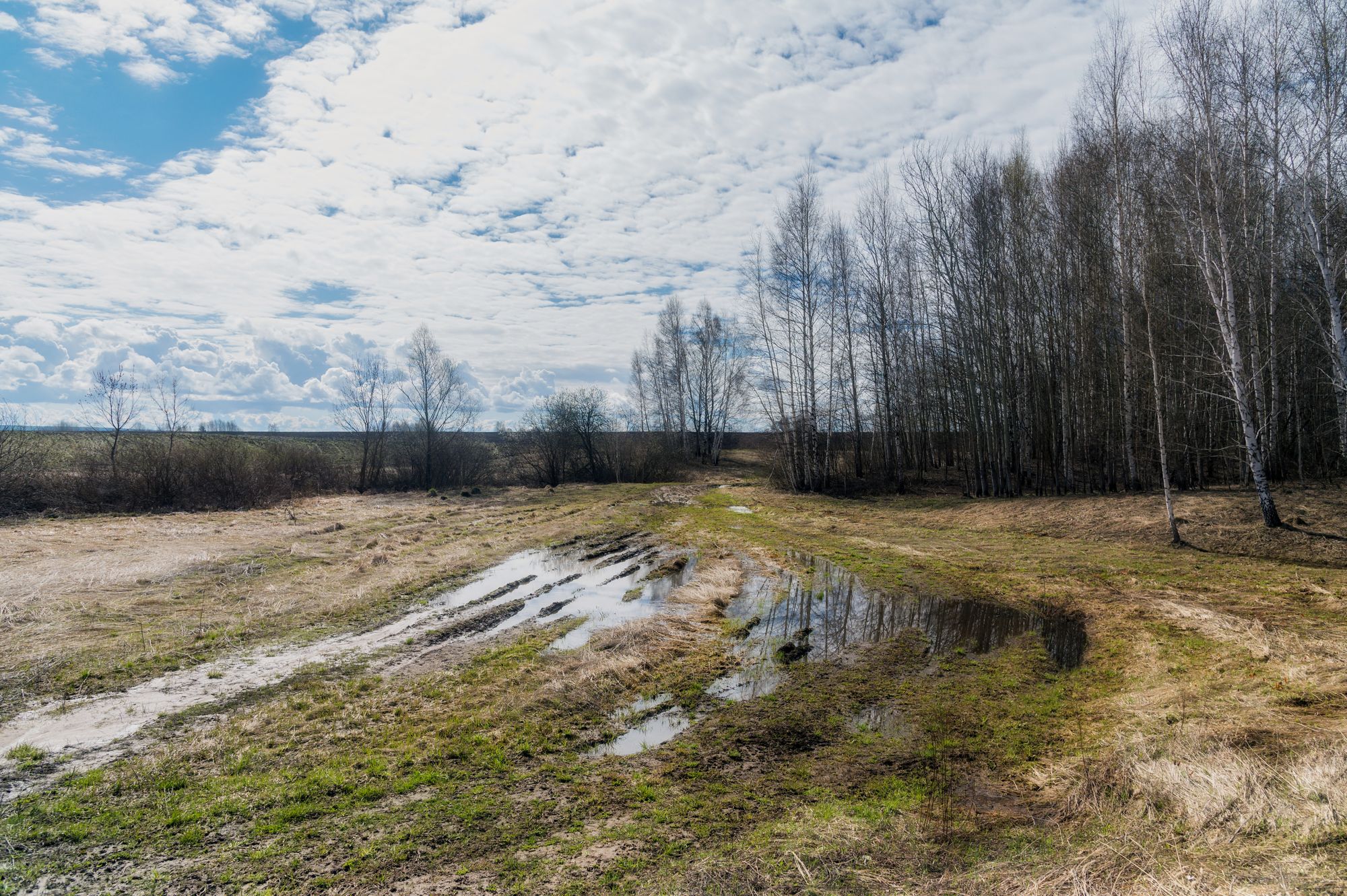 «Талые воды» раздел «Природный пейзаж». «»