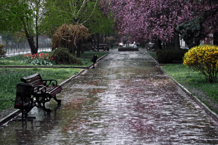 Апрельские мотивы