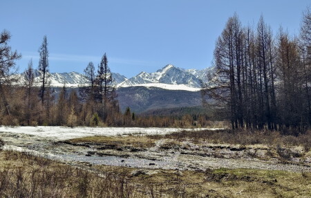 весна в горах