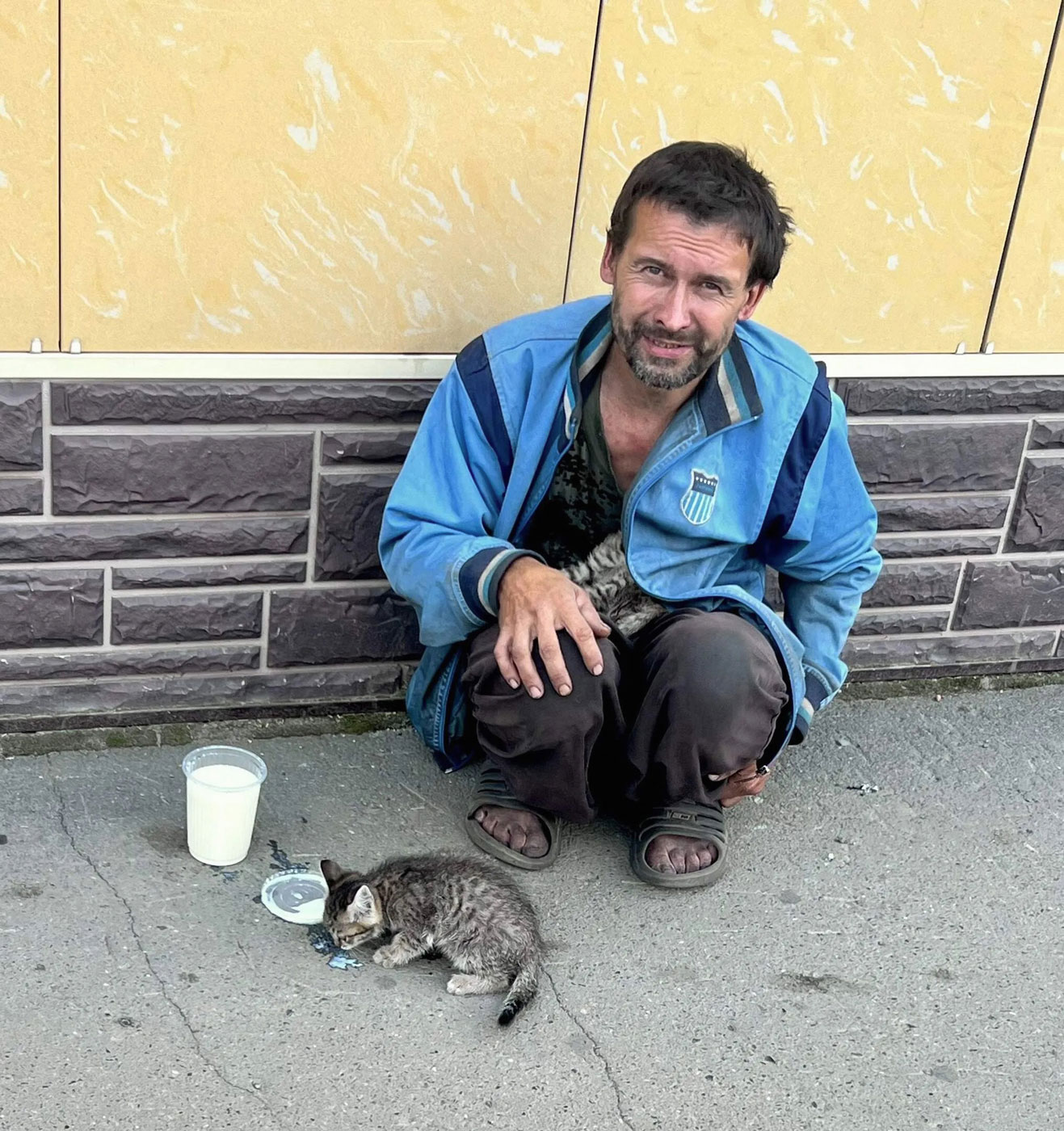 «*****» раздел «Жанр». «»