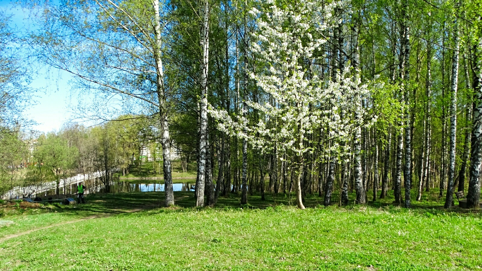 «Смоленск» раздел «Городской пейзаж». «Смоленск, парк Соловьиная роща, 04.05.2026»