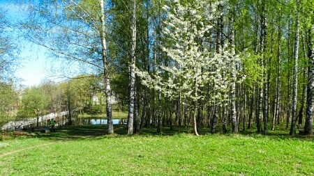 Смоленск 