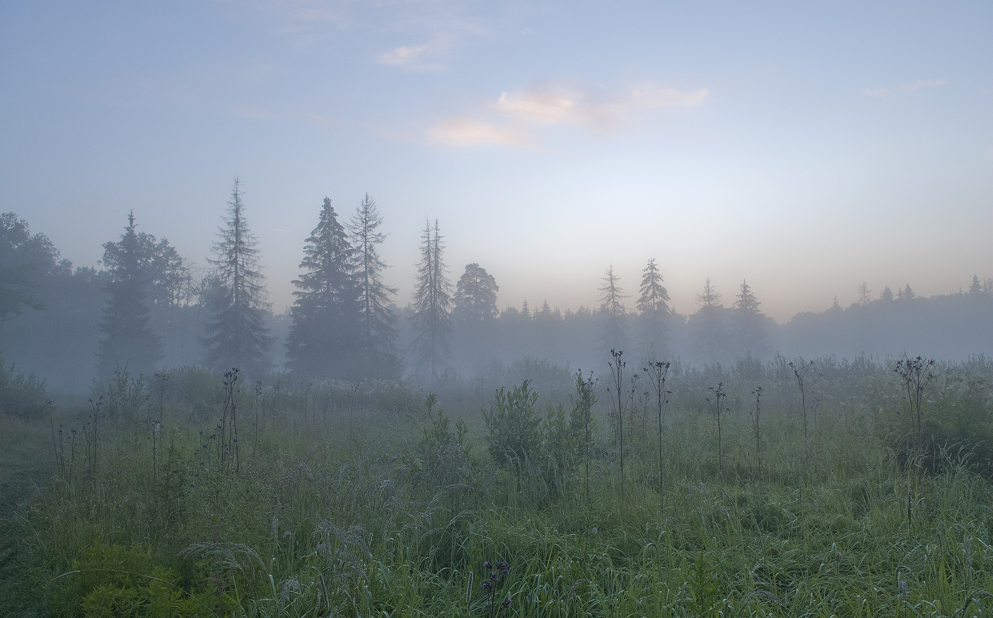 «Утро» раздел «Природный пейзаж». «»