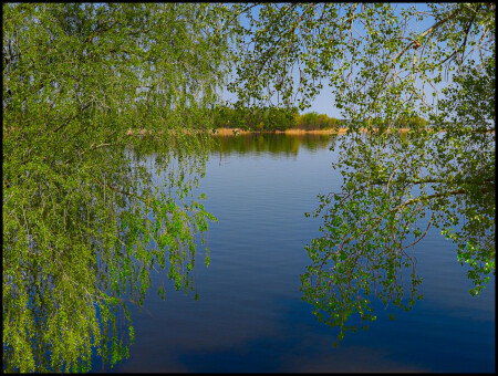 У воды