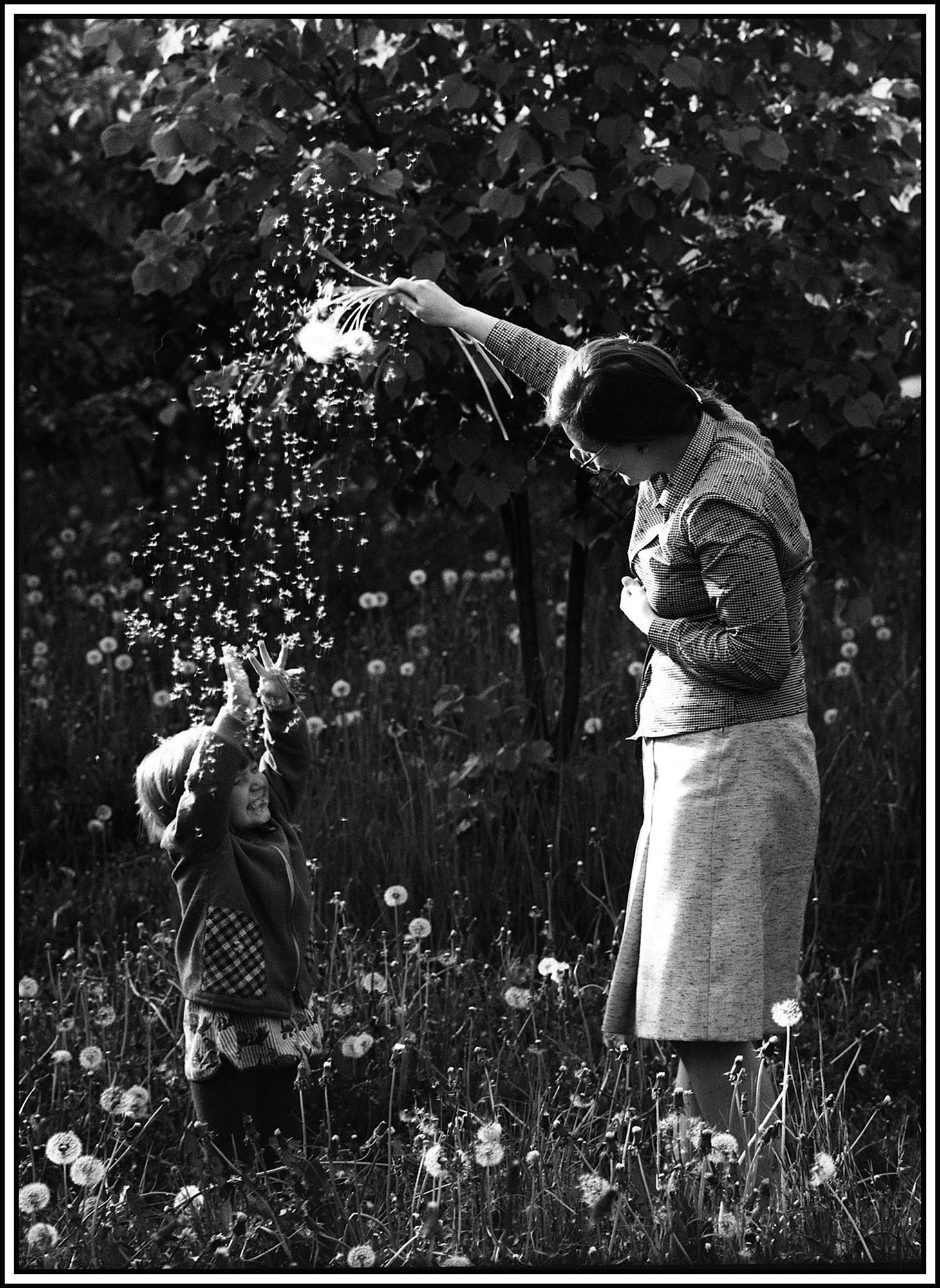 «Одуванчики» раздел «». «1983 год. Измайловский лесопарк»