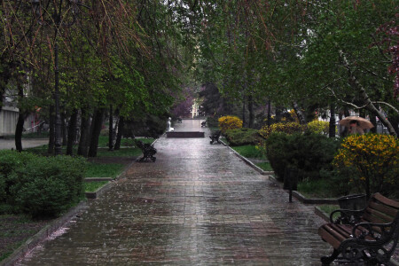Апрельские мотивы