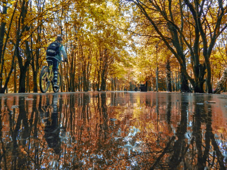 Осеннее зазеркалье
