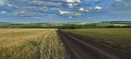 Дорога к Храму