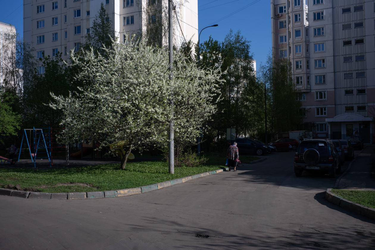 «.» раздел «Разное». «»