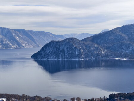 большая черепаха