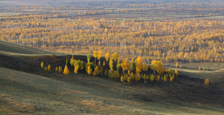 Осень золотая