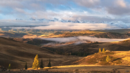 Алтайский рассвет