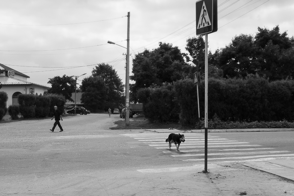 «*» раздел «Жанр». «»