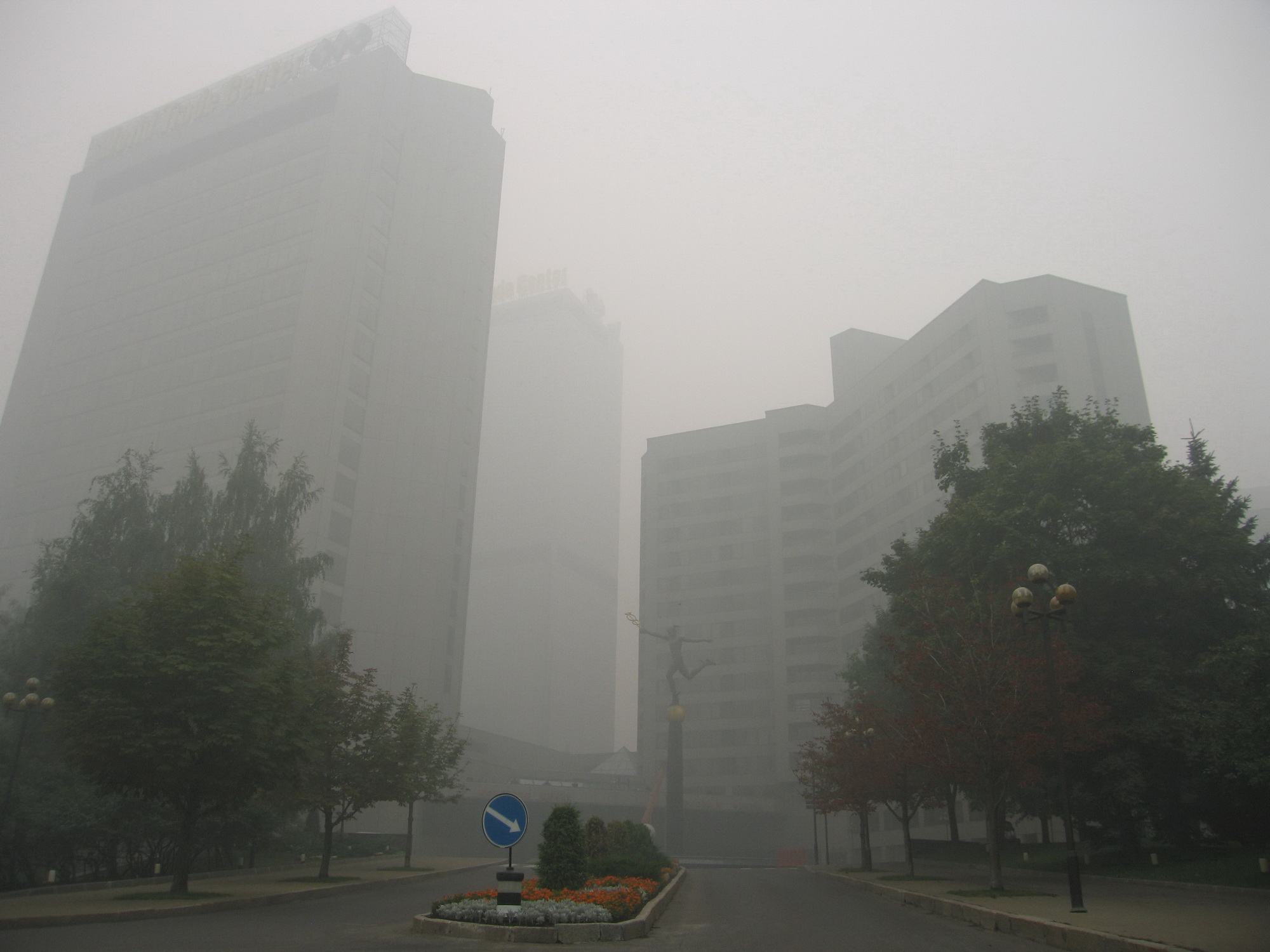 «Москва, лето 2010» раздел «». «»