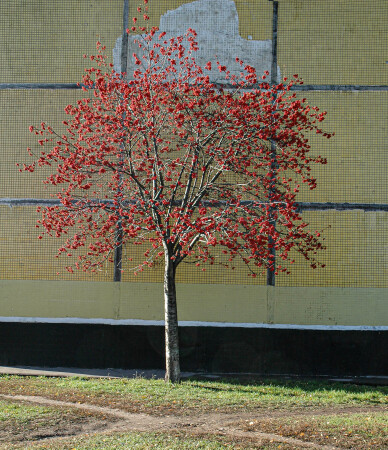 2010 г. Городской пейзаж