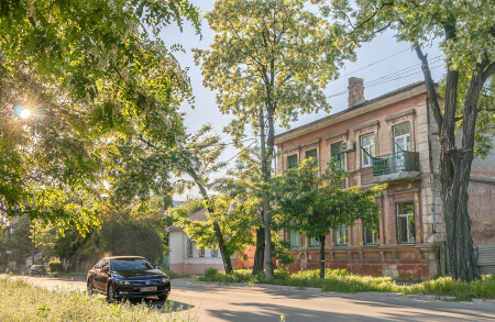 Цветет акация