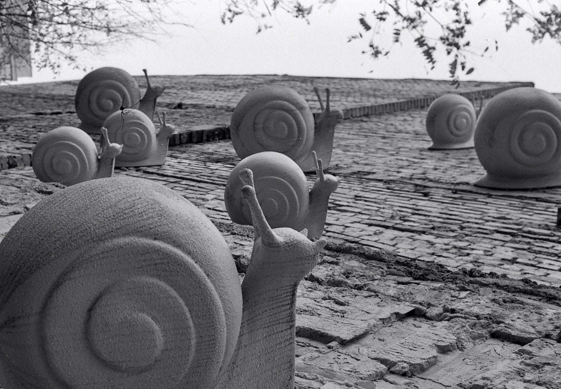 Арт-объект в Ростове-на-Дону. раздел Городской пейзаж. Nikon FE2 Tasma-42