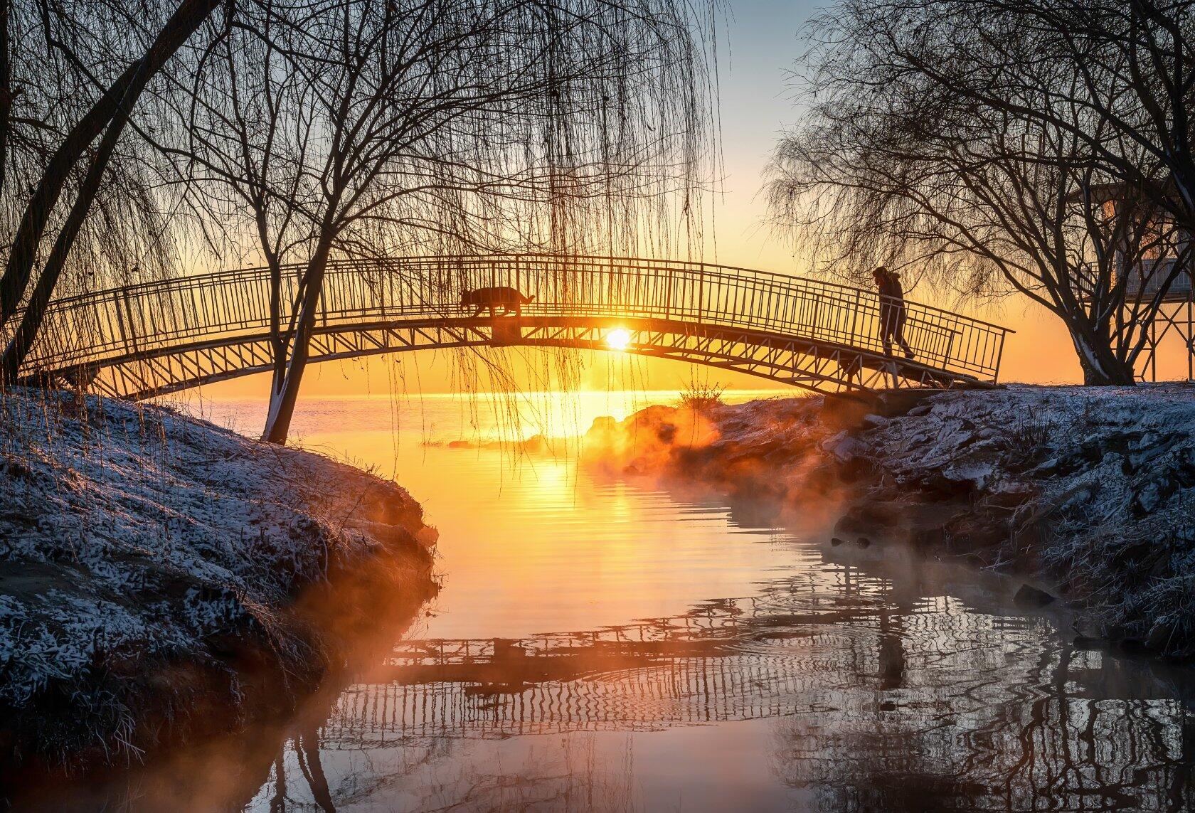 Вместе весело шагать.... раздел Домашние животные. Таганрог