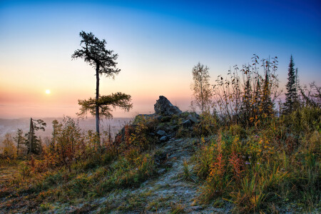 Осеннее утро