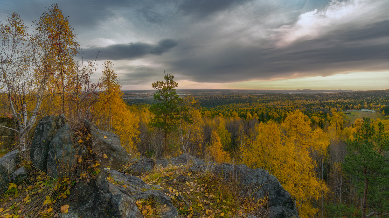 Осенняя пора