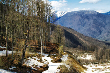 Красная Поляна весной