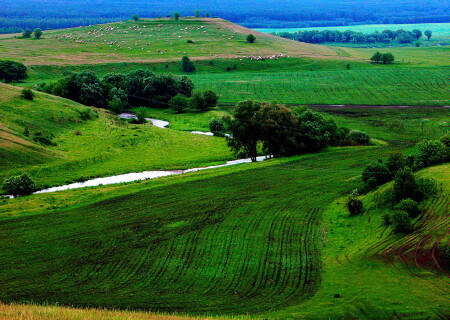 Родные края.