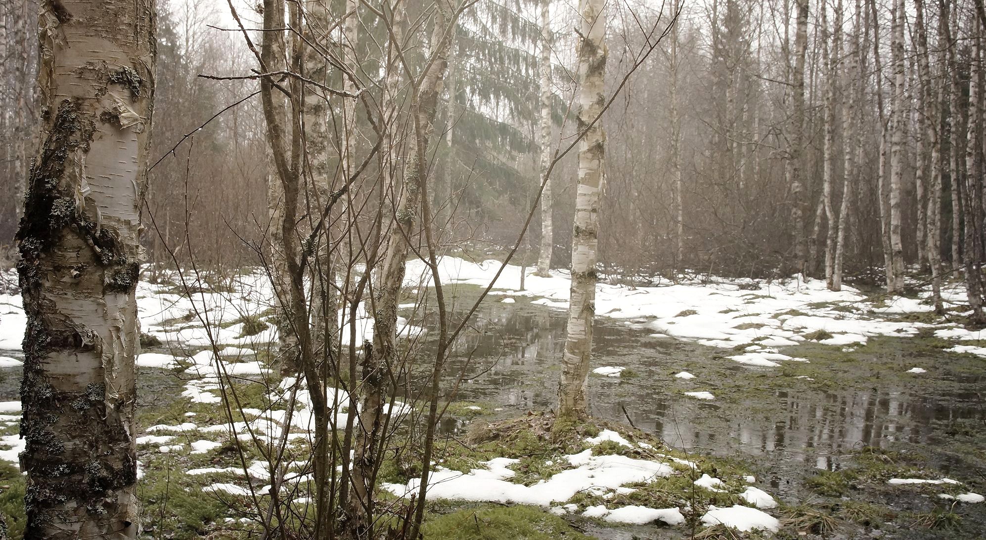 Март. раздел Природный пейзаж