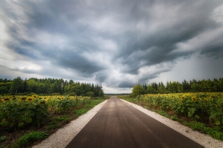 Летняя