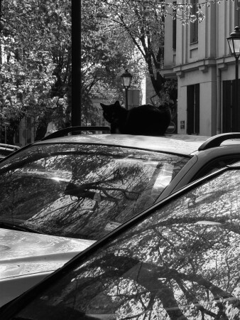 Автолюбитель