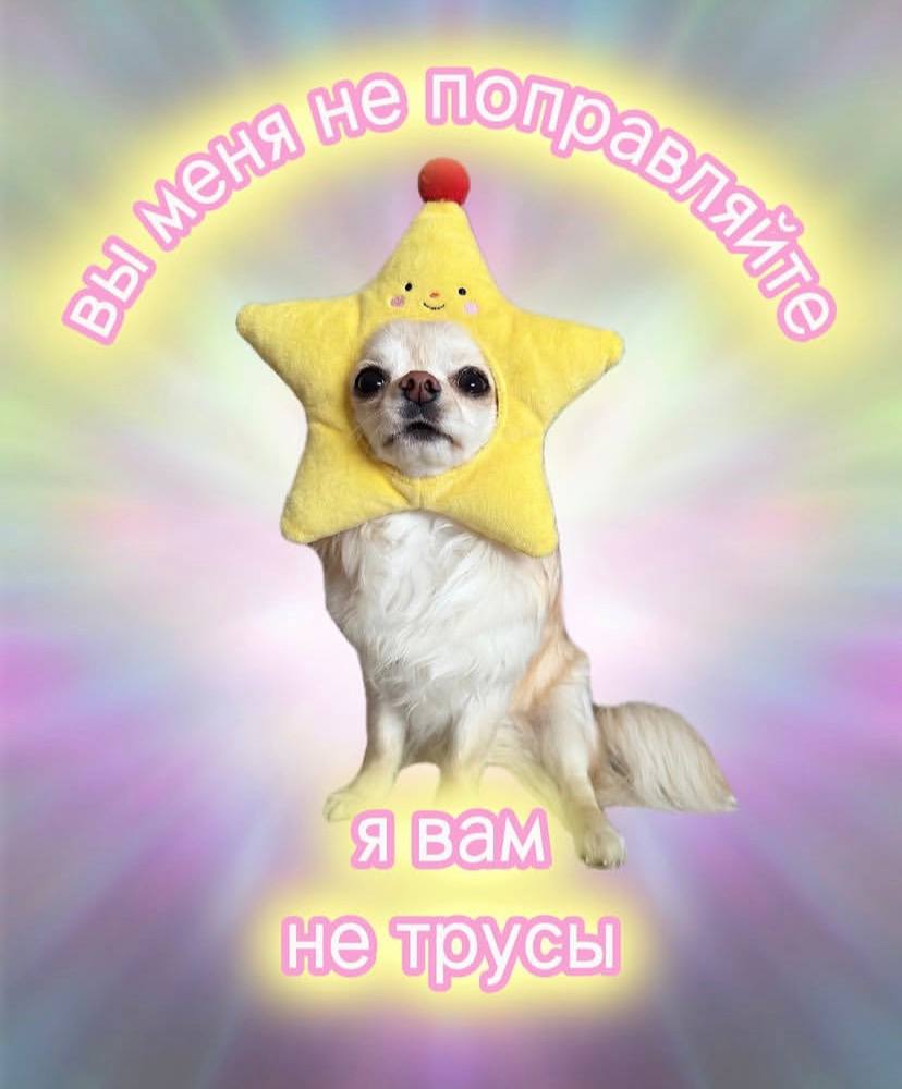 Собака