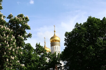 Москва. Кремль. Май