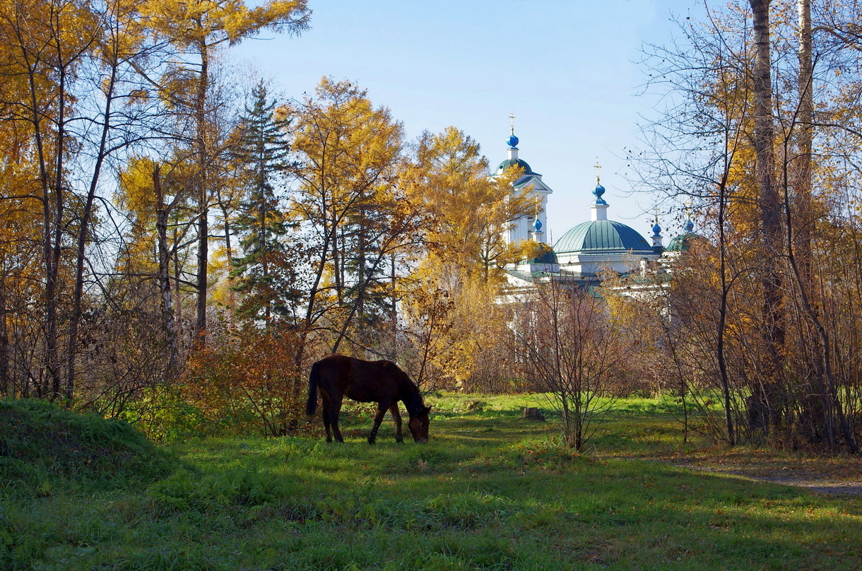 Иркутск. Парк.. раздел Городской пейзаж