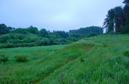 Утро в парке (2)