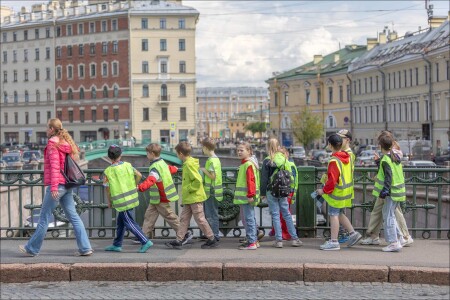 ПОПУГАЙЧИКИ