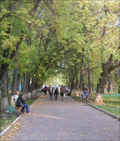 В парке