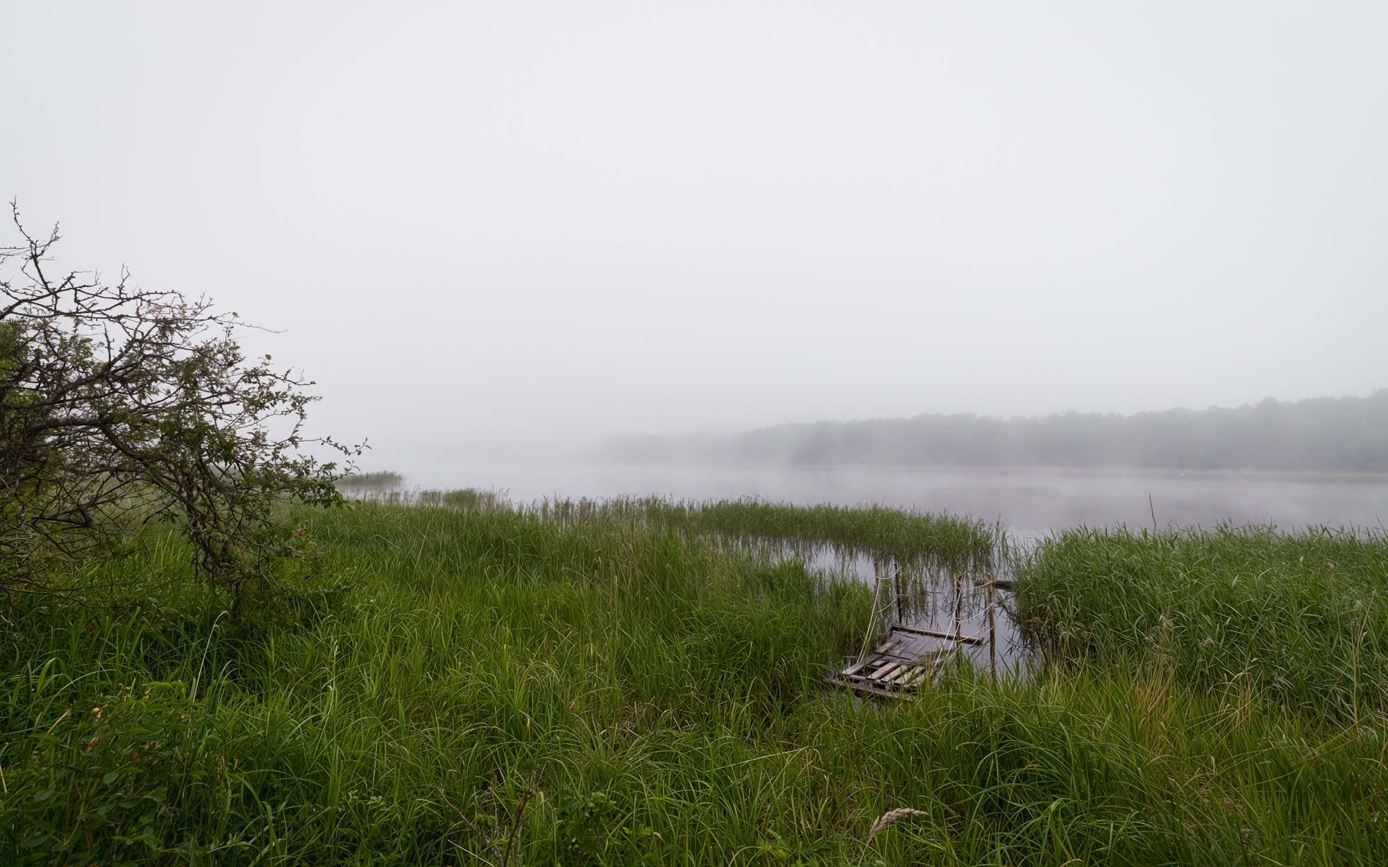 «***» раздел «Природный пейзаж». «»