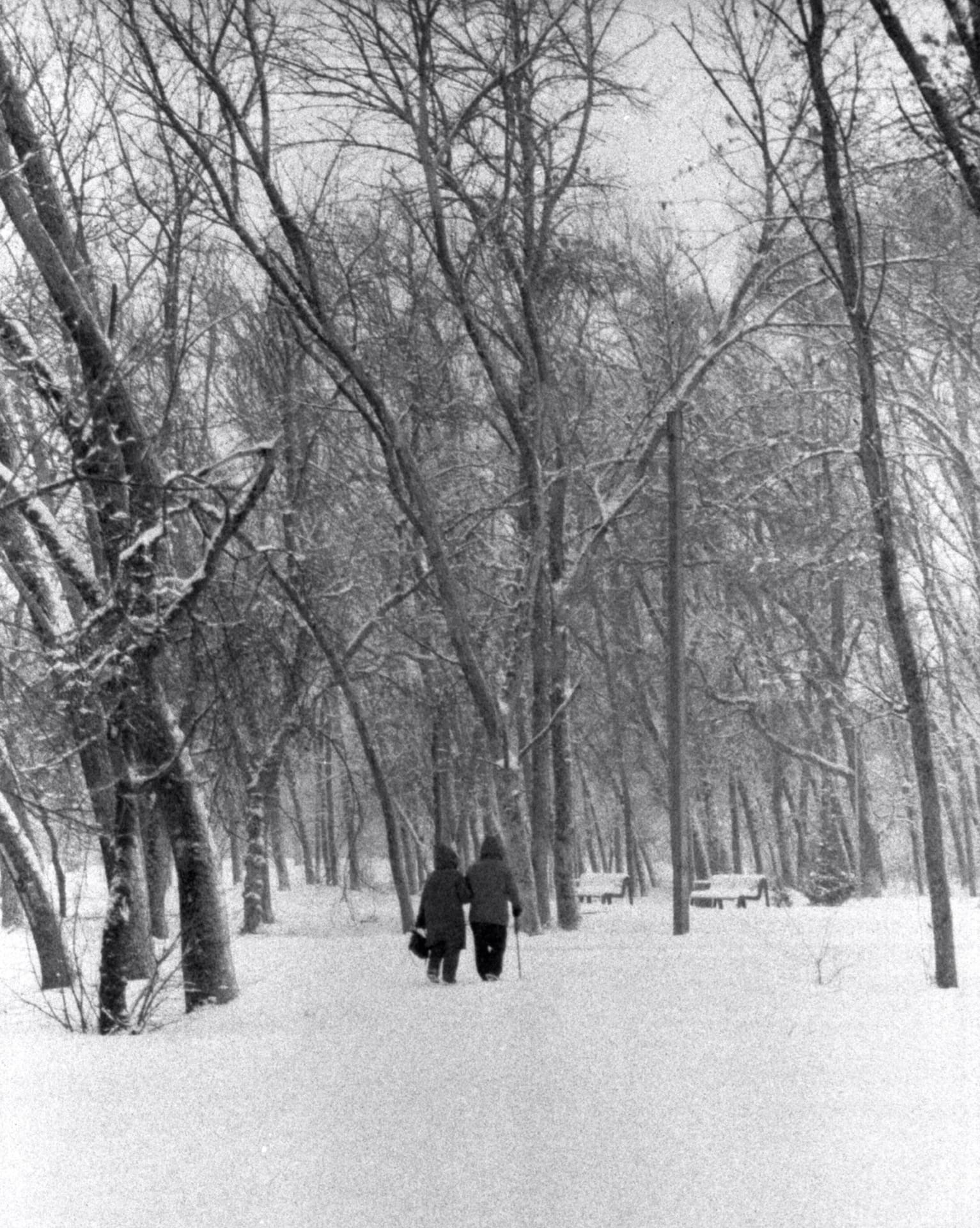«Гуляя по парку» раздел «Жанр». «Nikon FE2 Tasma-42»