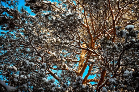winter