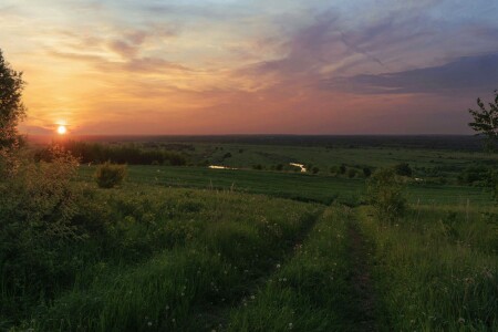 Русское поле